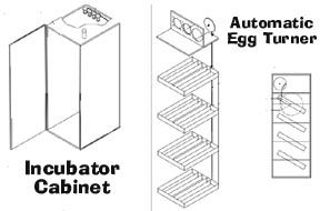 homemade egg incubator design pdf
